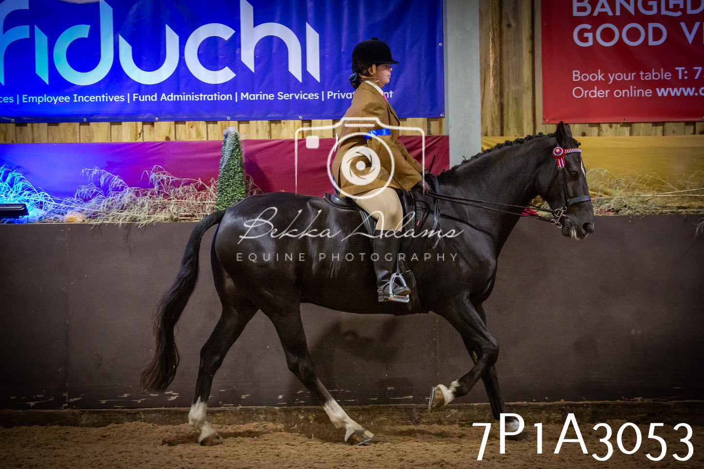 JHOYS 2025 - Ridden Showing - 28th September - pt3