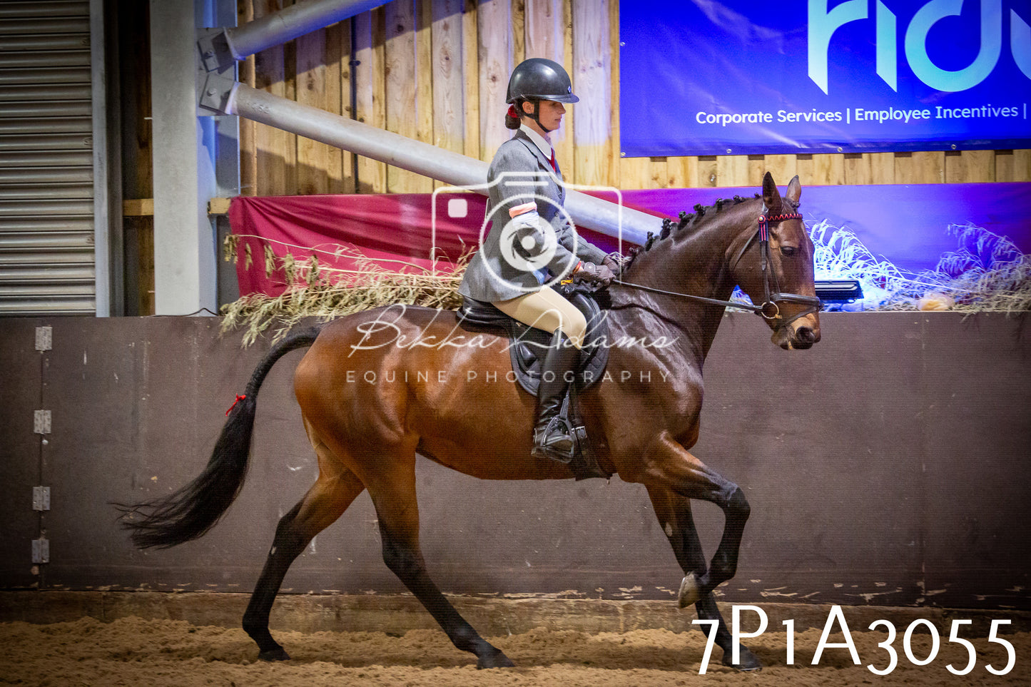 JHOYS 2025 - Ridden Showing - 28th September - pt3