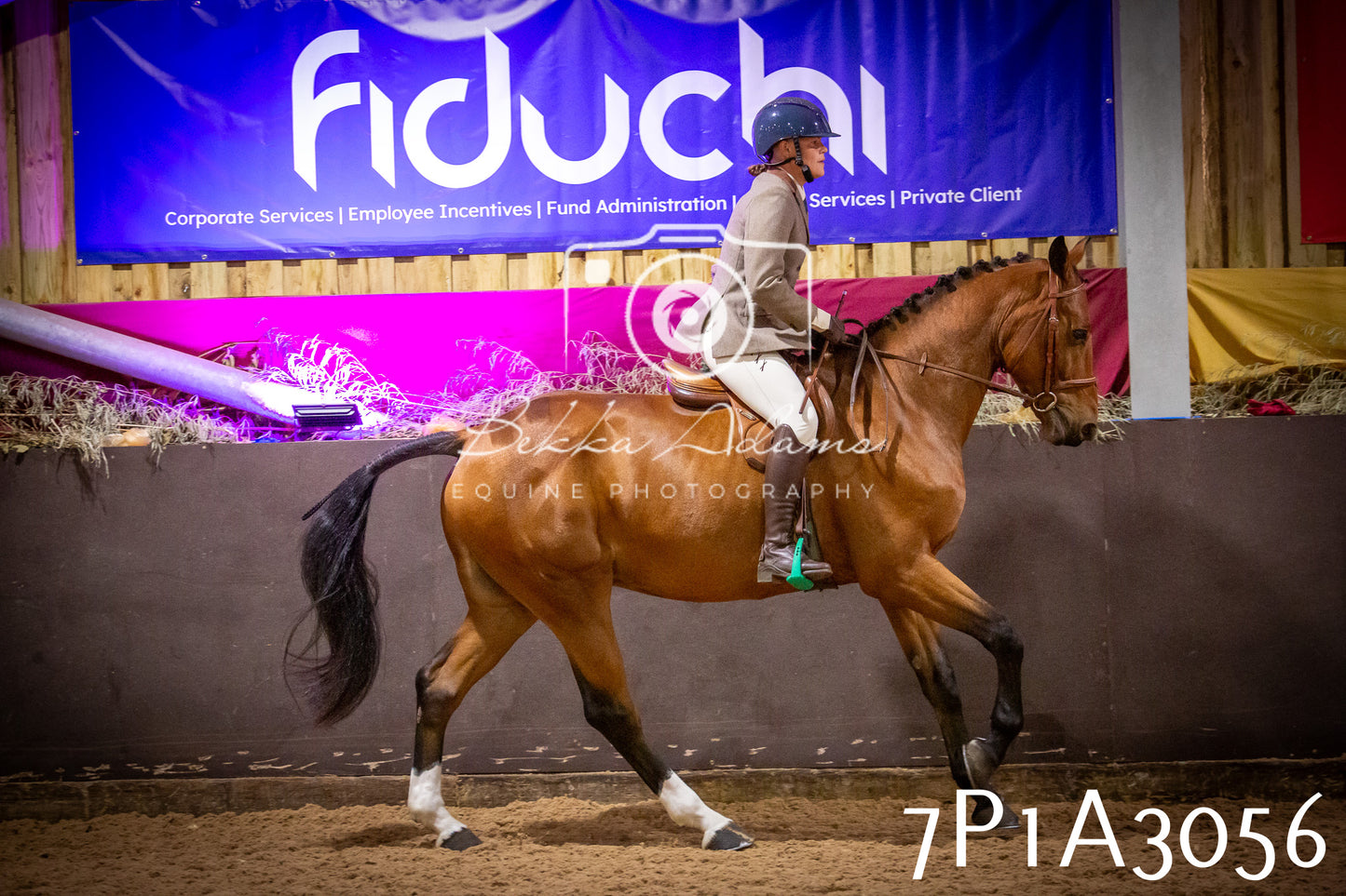 JHOYS 2025 - Ridden Showing - 28th September - pt3