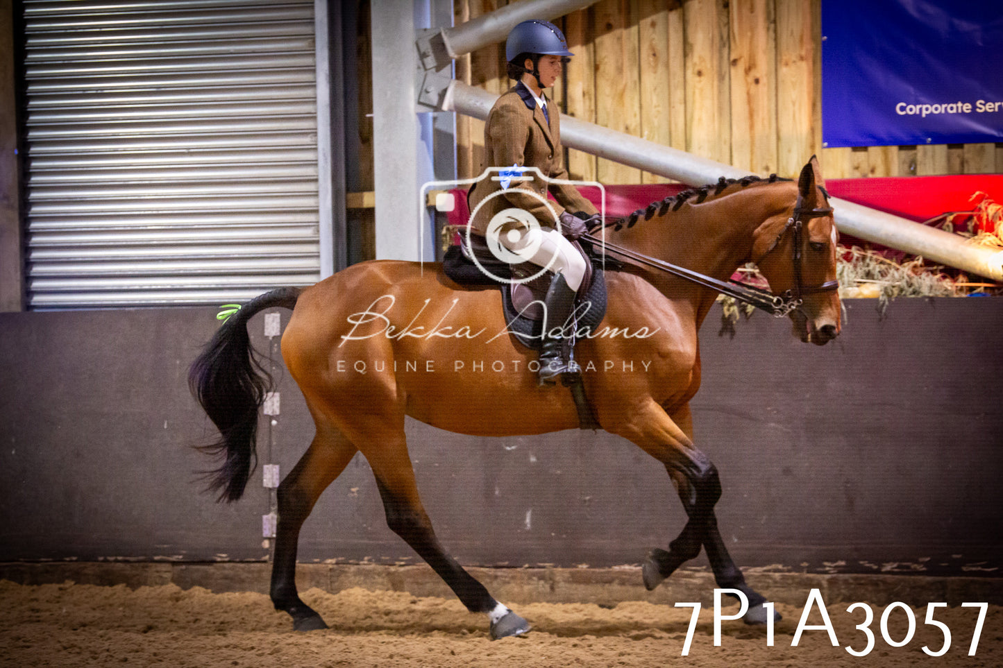 JHOYS 2025 - Ridden Showing - 28th September - pt3