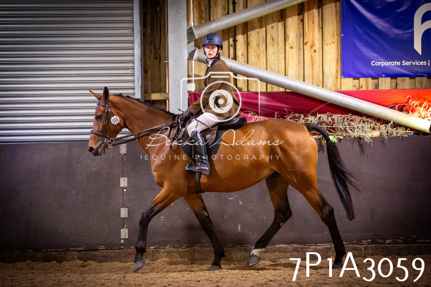 JHOYS 2025 - Ridden Showing - 28th September - pt3