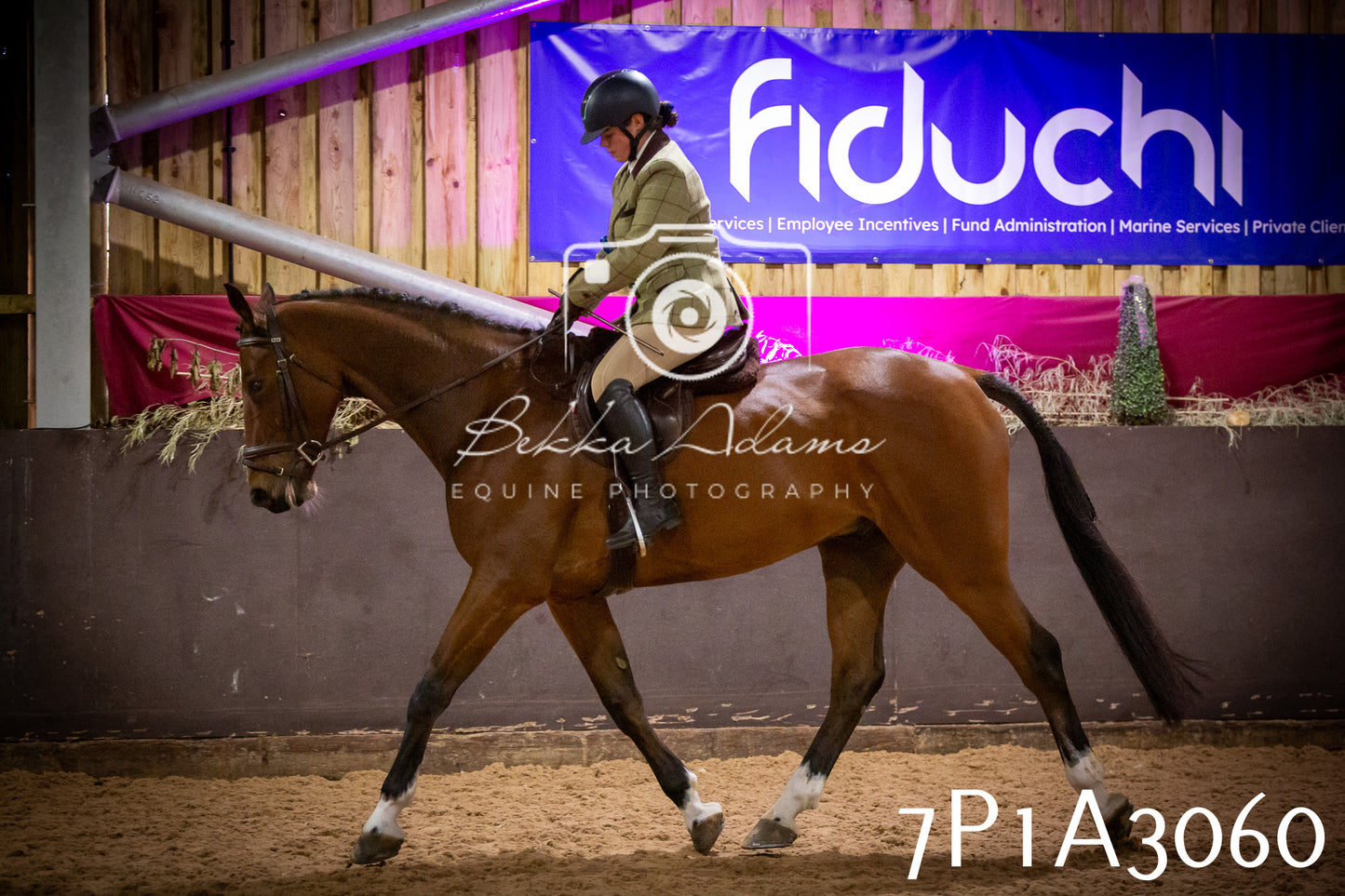 JHOYS 2025 - Ridden Showing - 28th September - pt3