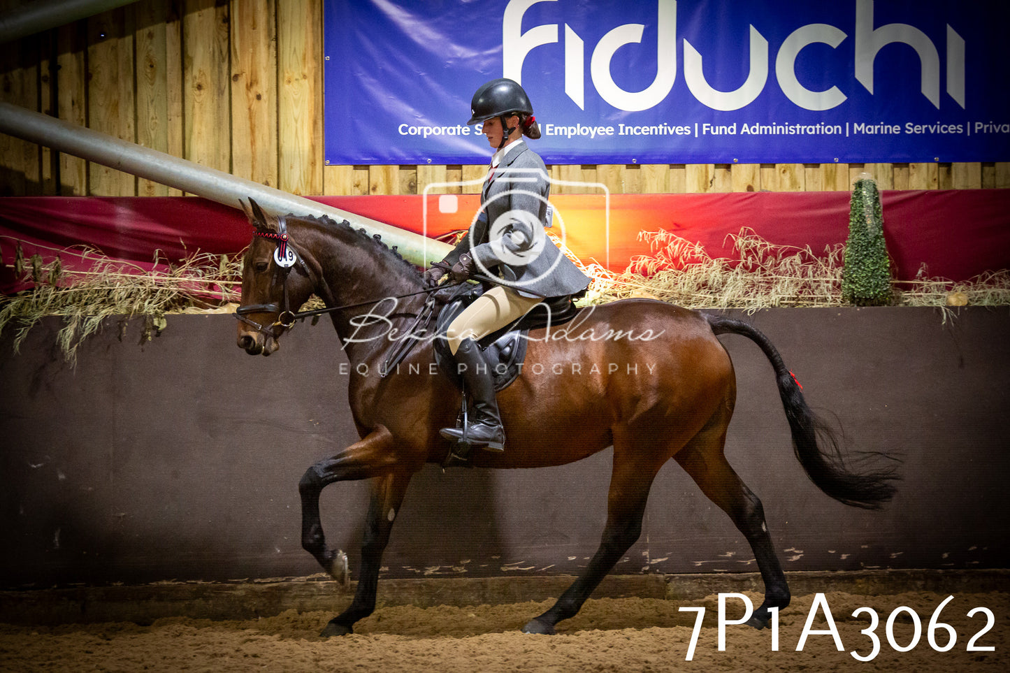 JHOYS 2025 - Ridden Showing - 28th September - pt3