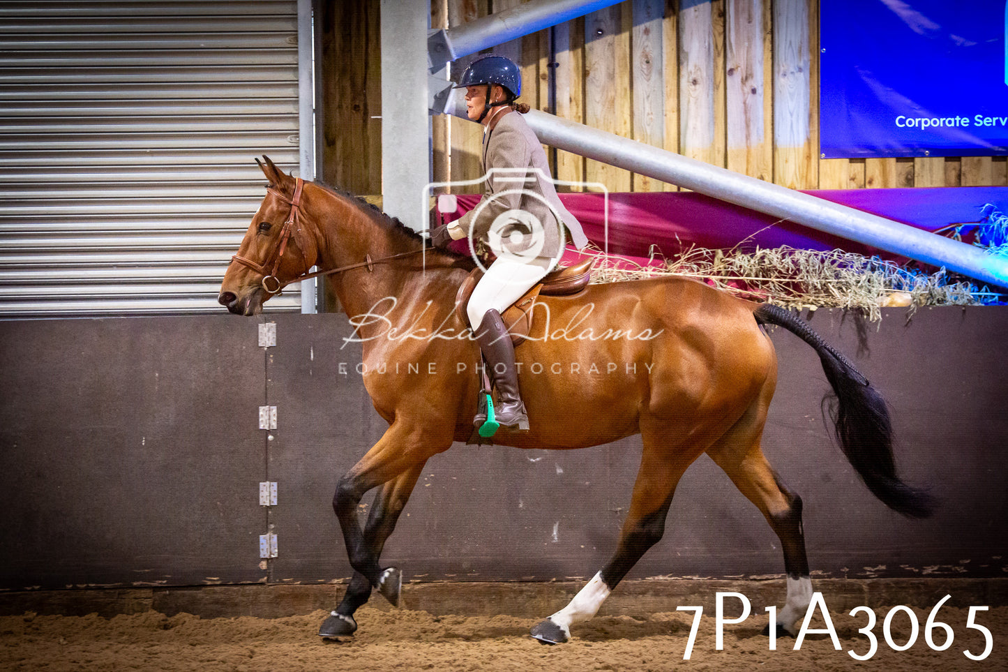 JHOYS 2025 - Ridden Showing - 28th September - pt3