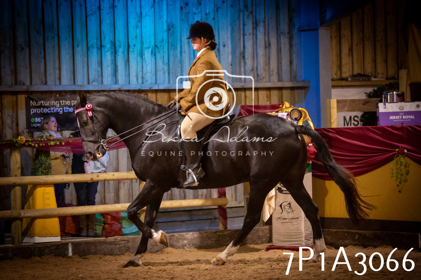 JHOYS 2025 - Ridden Showing - 28th September - pt3