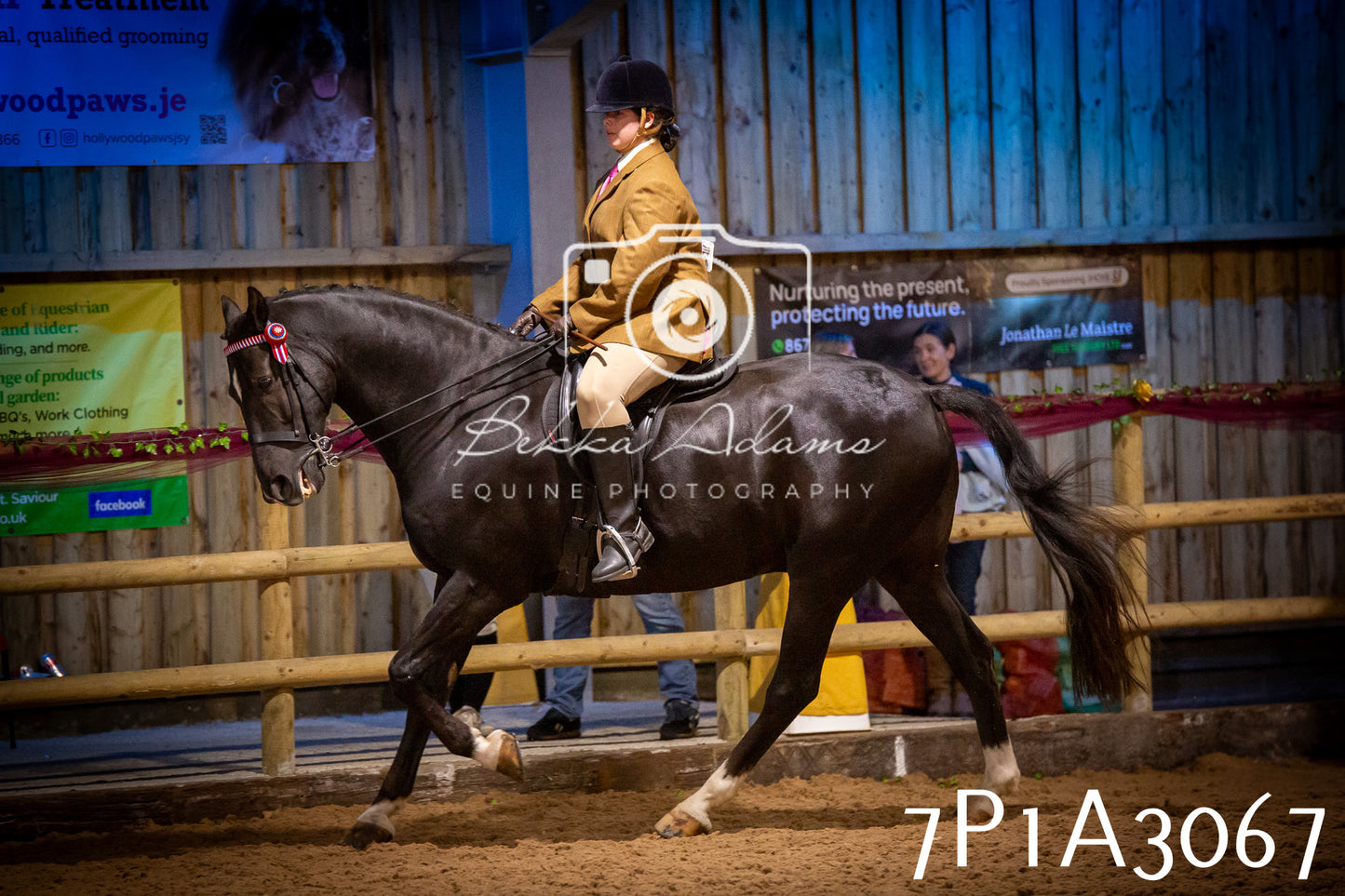 JHOYS 2025 - Ridden Showing - 28th September - pt3