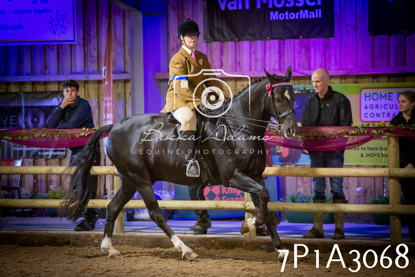 JHOYS 2025 - Ridden Showing - 28th September - pt3