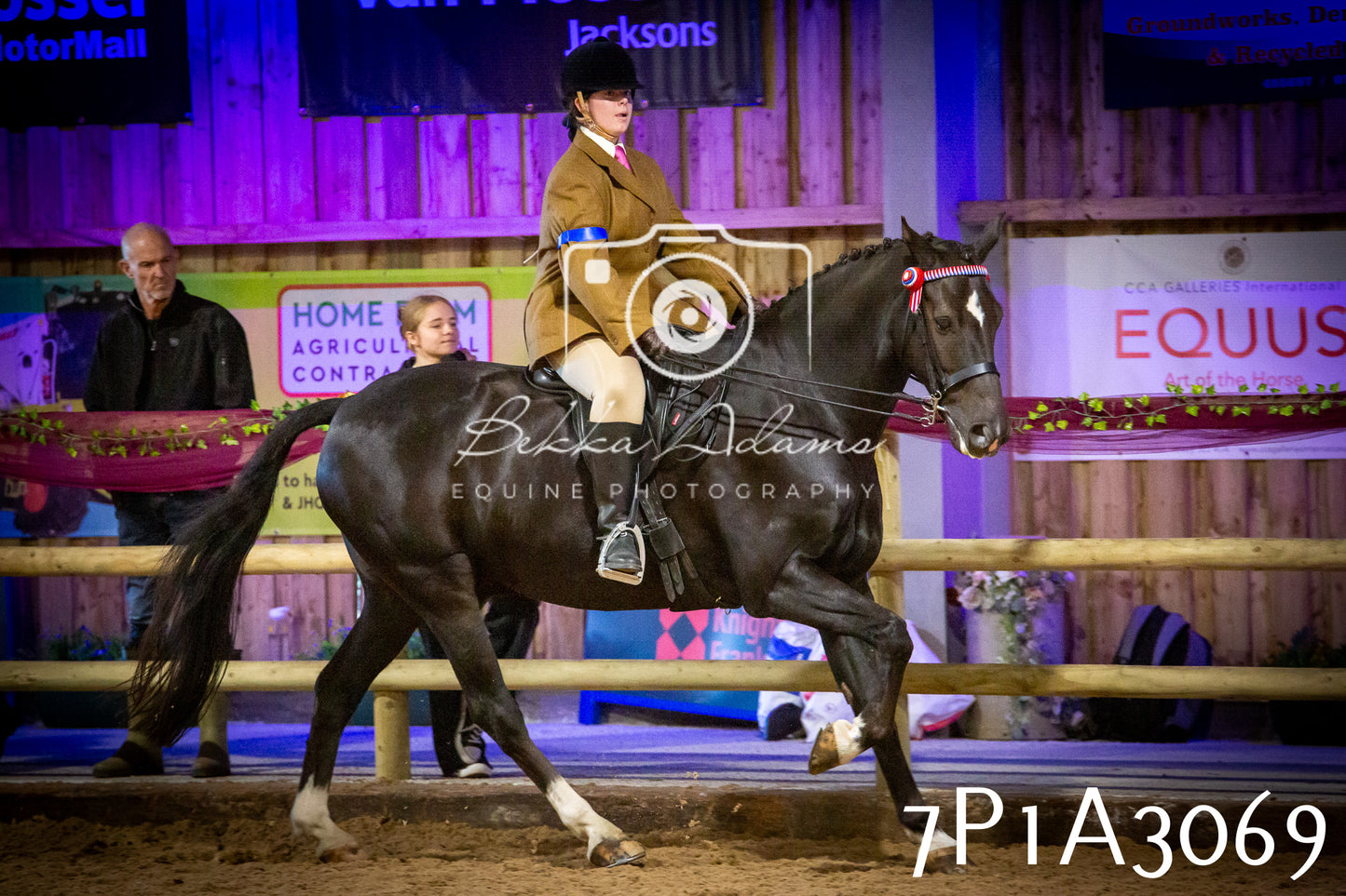 JHOYS 2025 - Ridden Showing - 28th September - pt3