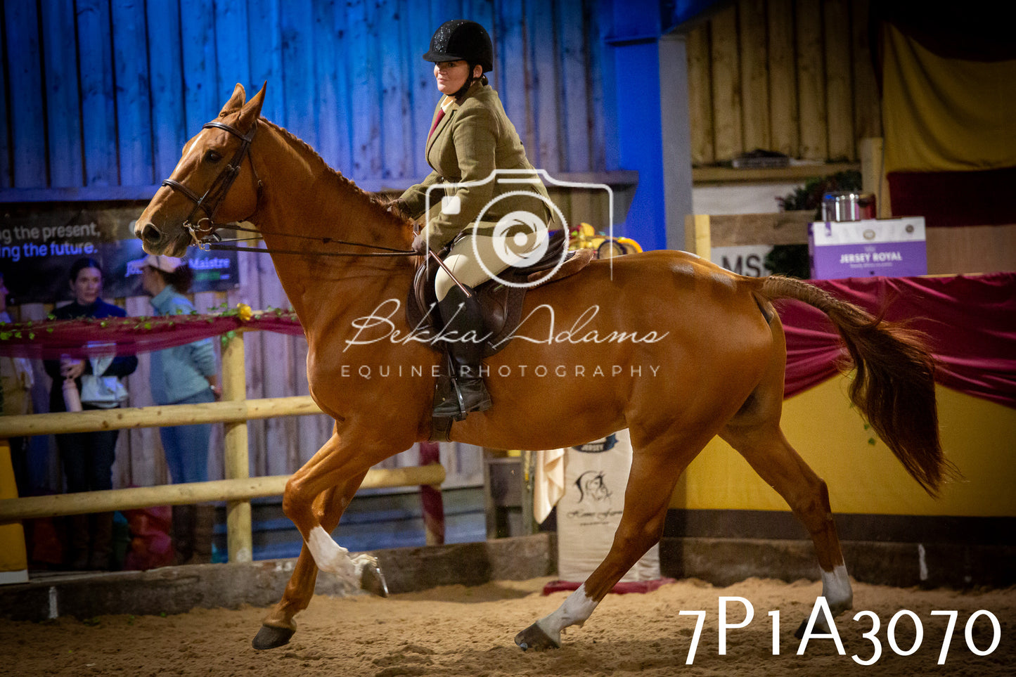 JHOYS 2025 - Ridden Showing - 28th September - pt3