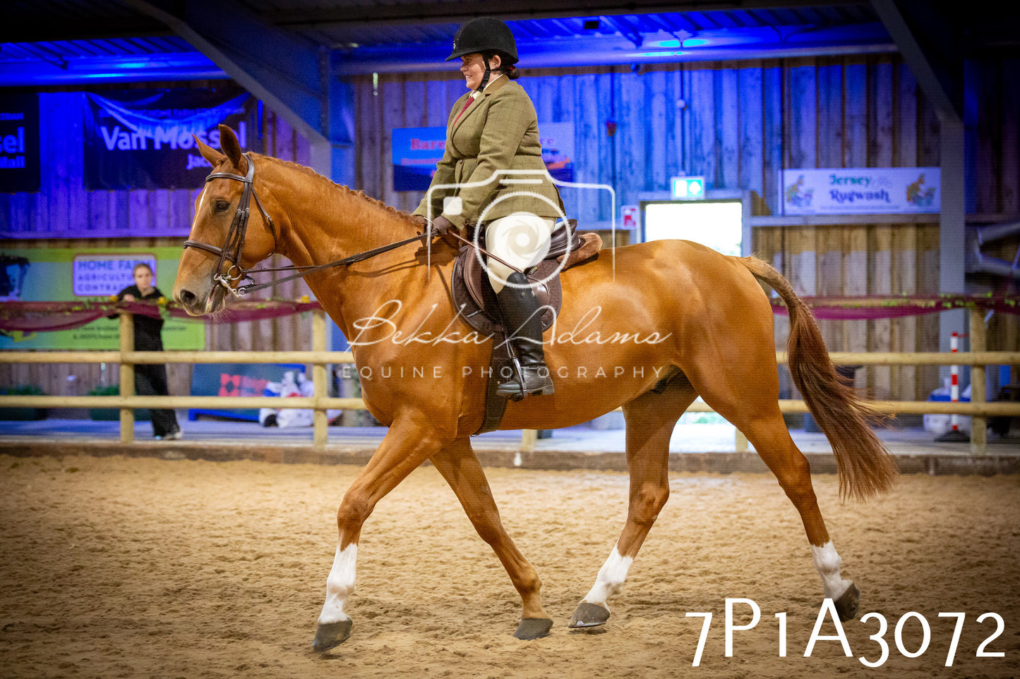 JHOYS 2025 - Ridden Showing - 28th September - pt3