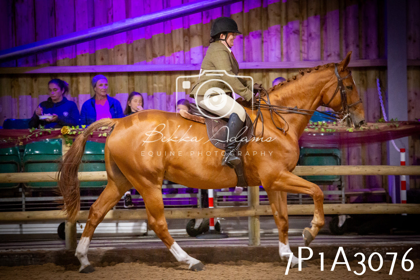 JHOYS 2025 - Ridden Showing - 28th September - pt3