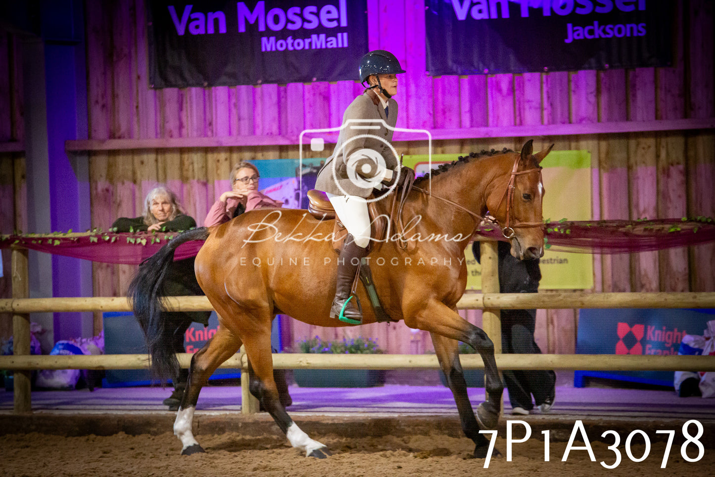 JHOYS 2025 - Ridden Showing - 28th September - pt3