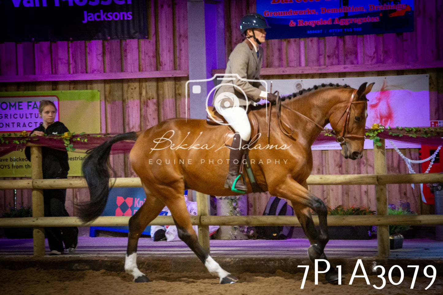 JHOYS 2025 - Ridden Showing - 28th September - pt3