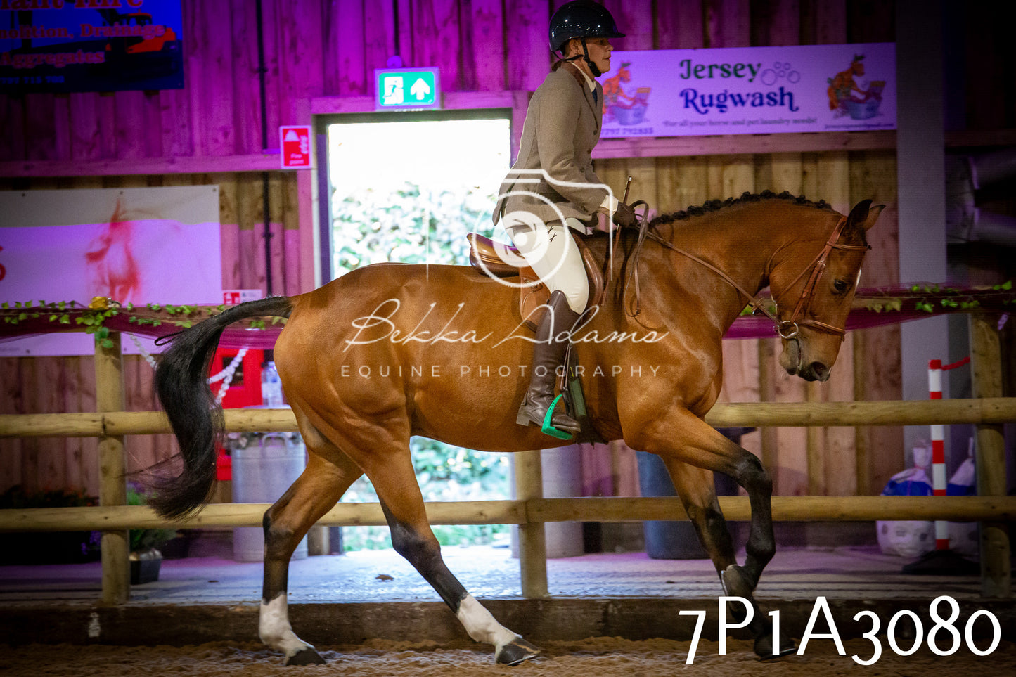 JHOYS 2025 - Ridden Showing - 28th September - pt3