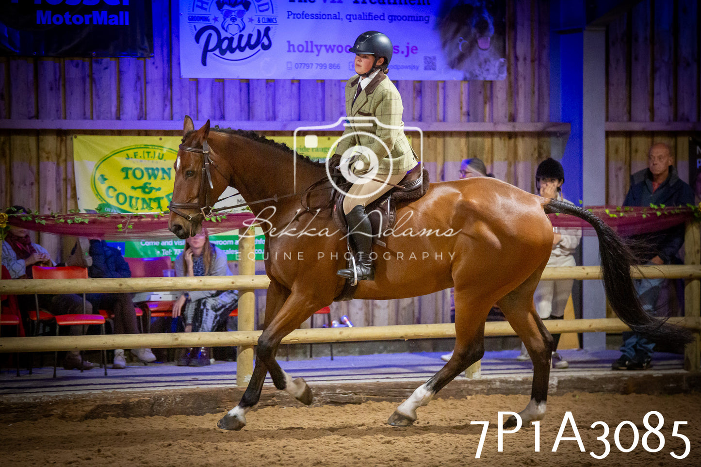 JHOYS 2025 - Ridden Showing - 28th September - pt3