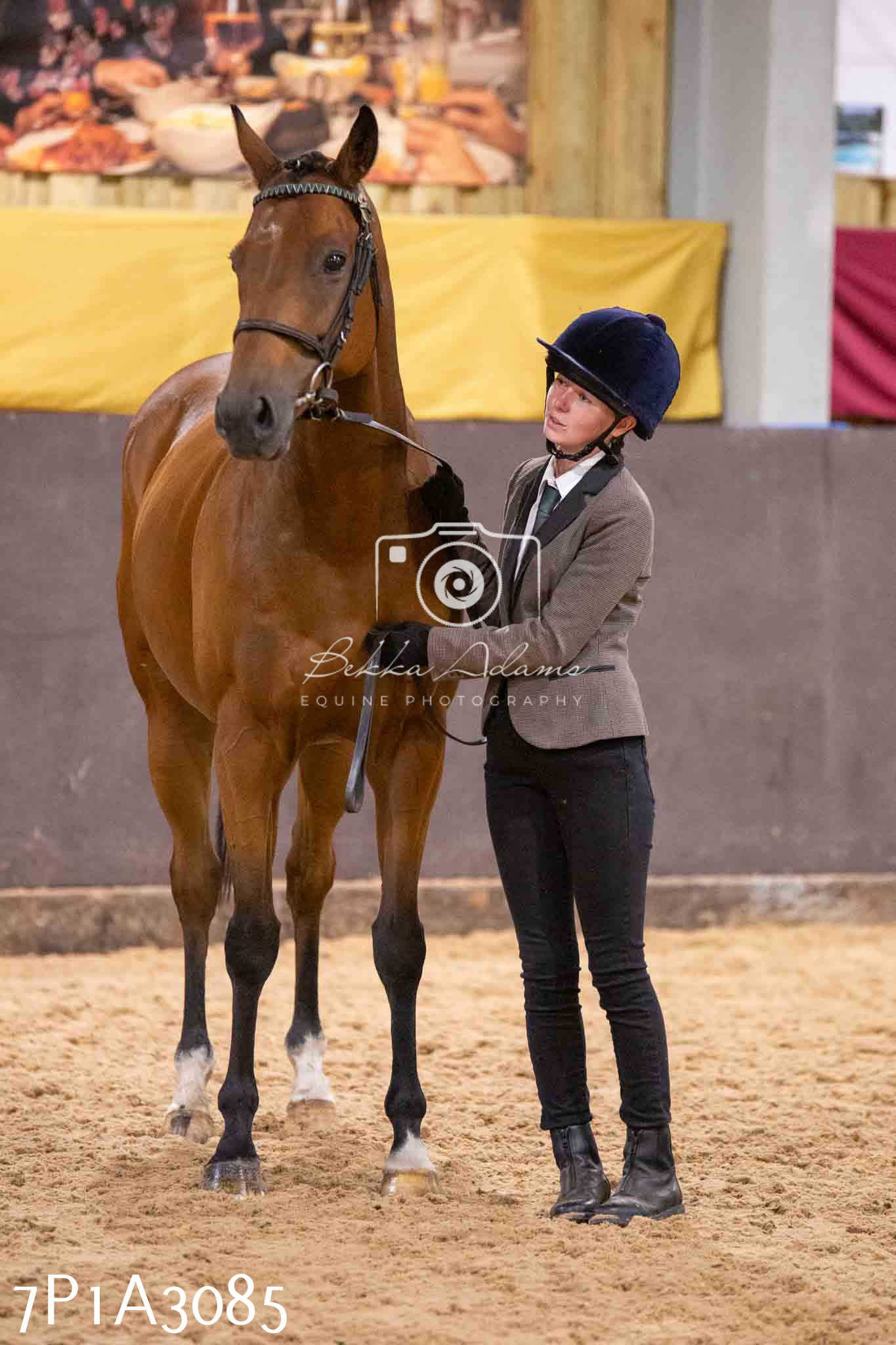 Home Farm Funshine Show 2024 - Inhand Showing 14th September