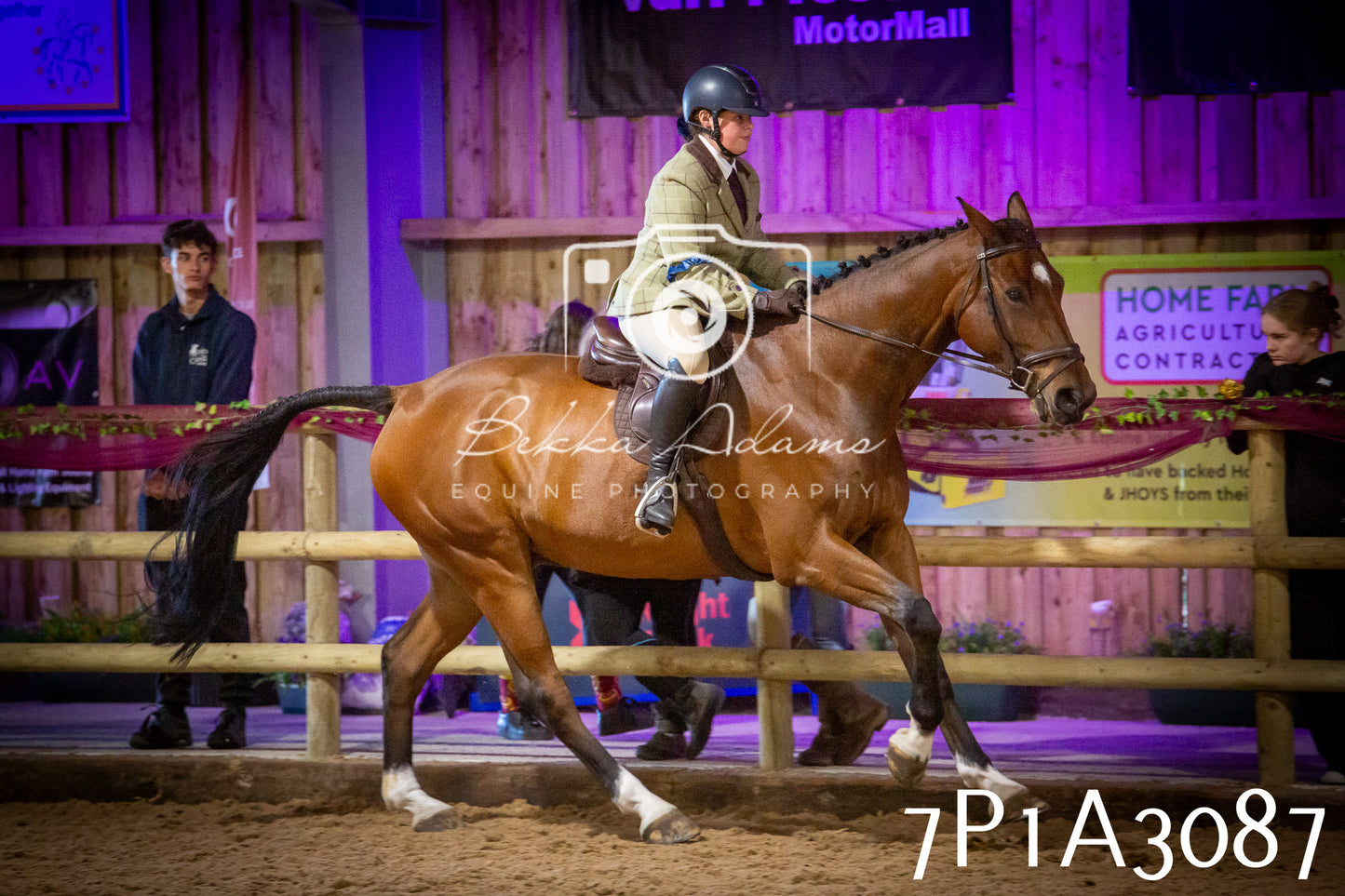 JHOYS 2025 - Ridden Showing - 28th September - pt4