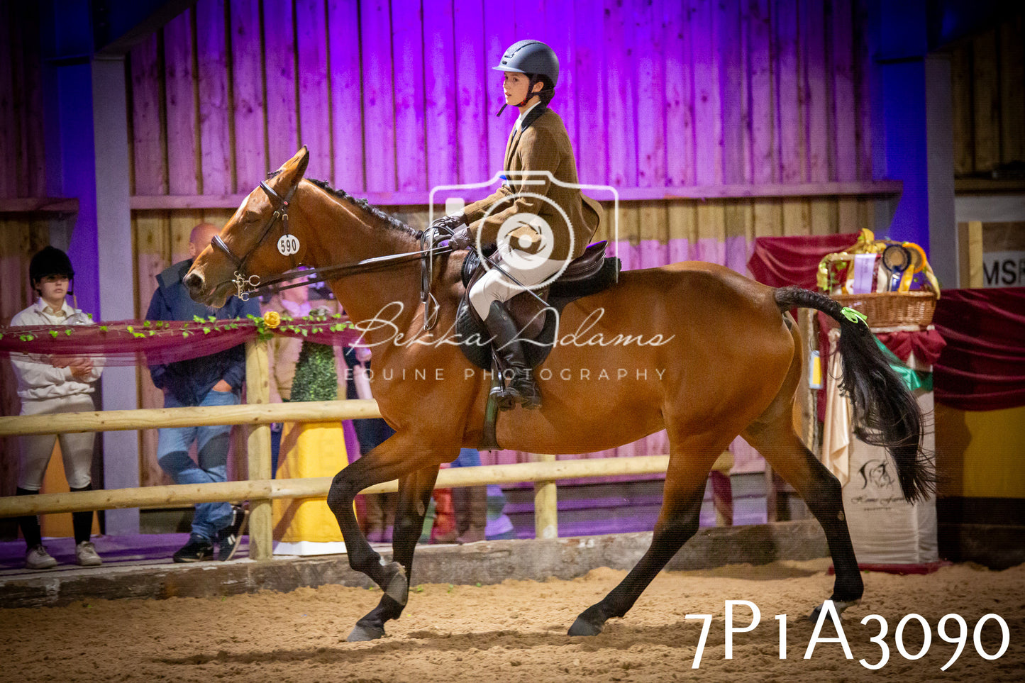 JHOYS 2025 - Ridden Showing - 28th September - pt4