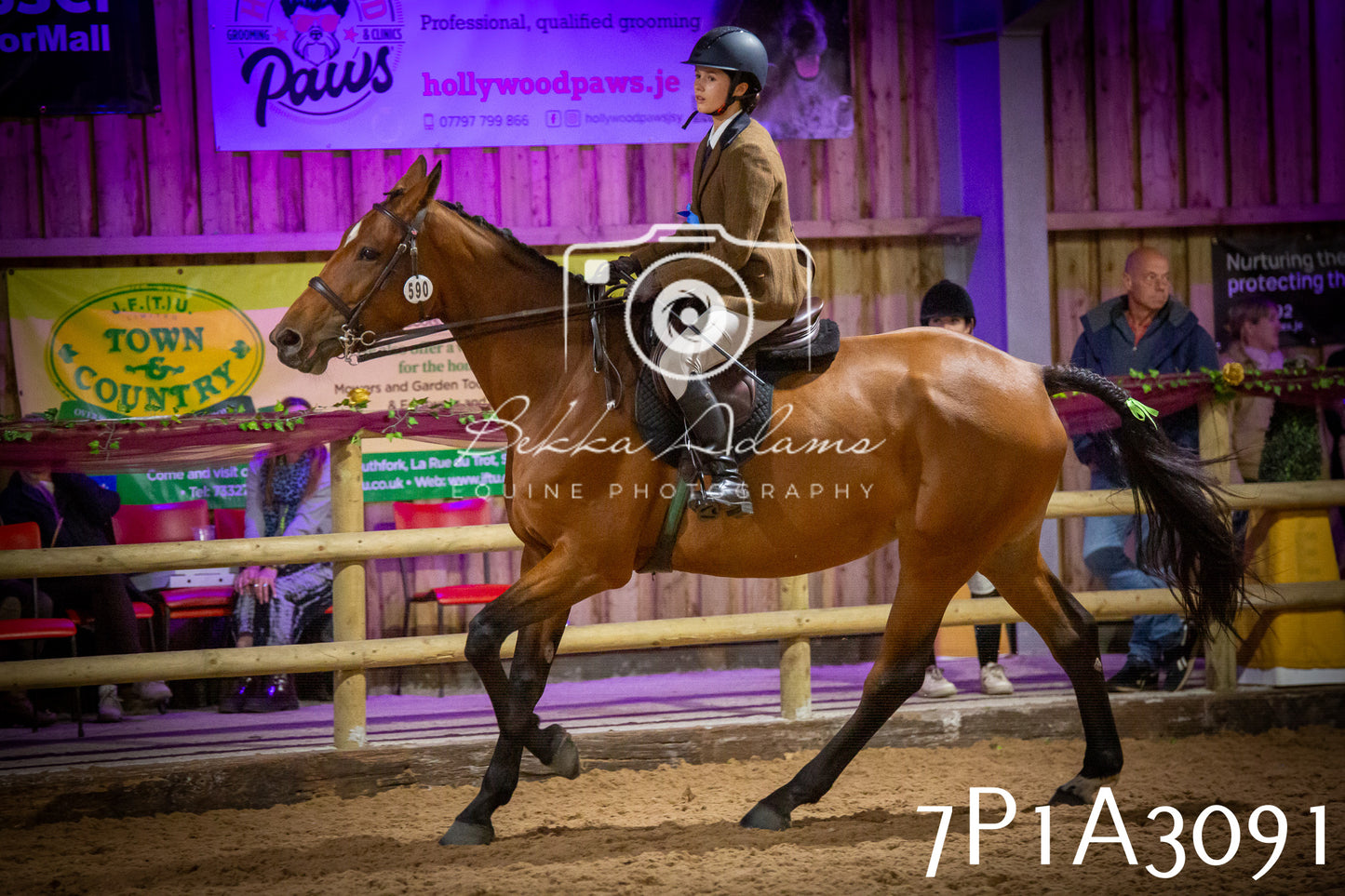 JHOYS 2025 - Ridden Showing - 28th September - pt4