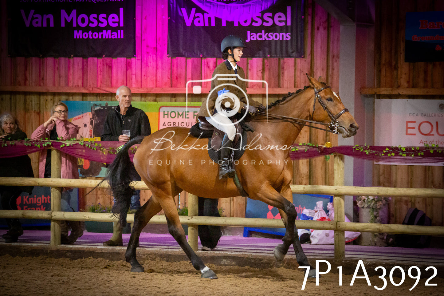 JHOYS 2025 - Ridden Showing - 28th September - pt4