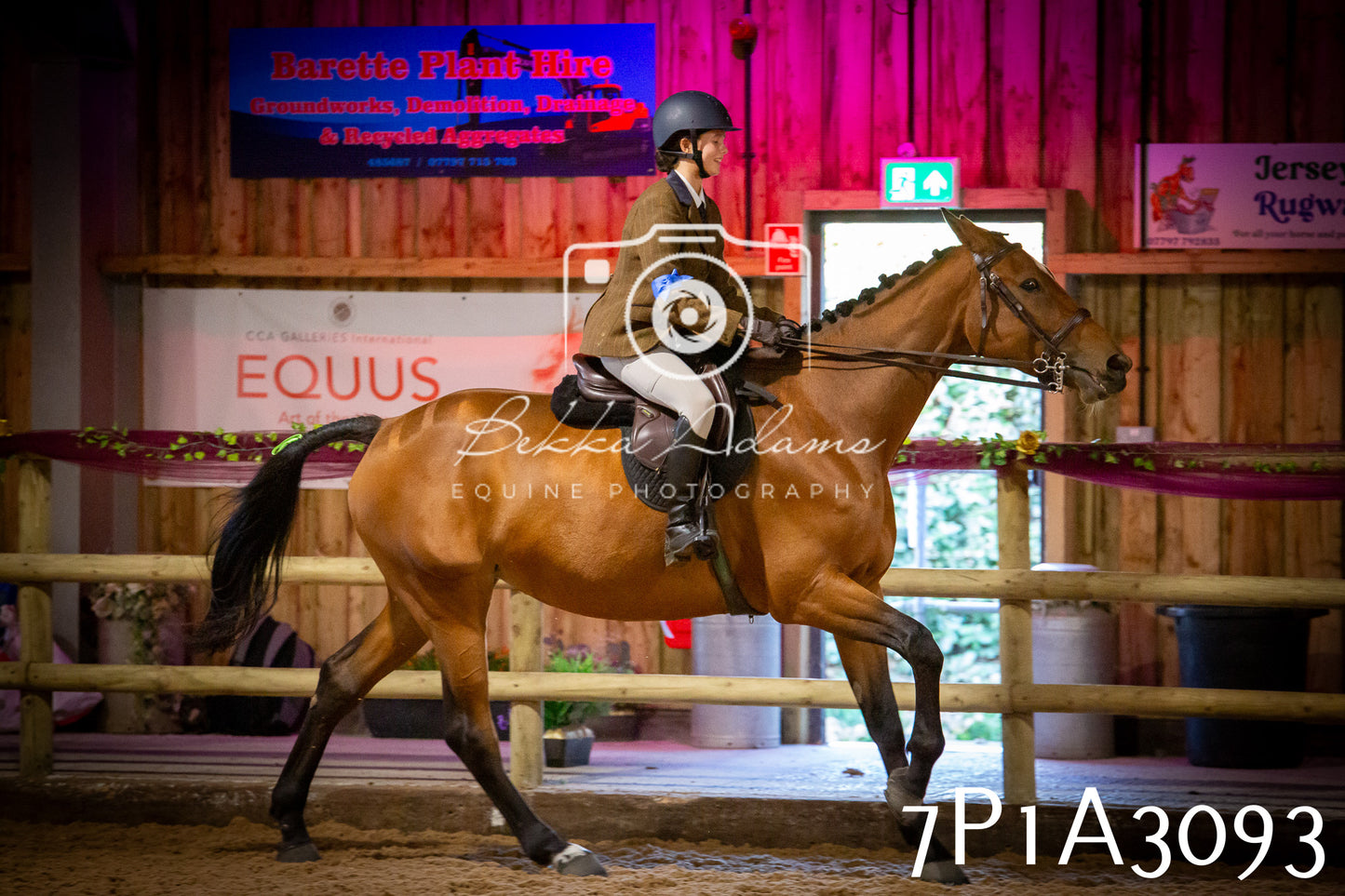 JHOYS 2025 - Ridden Showing - 28th September - pt4