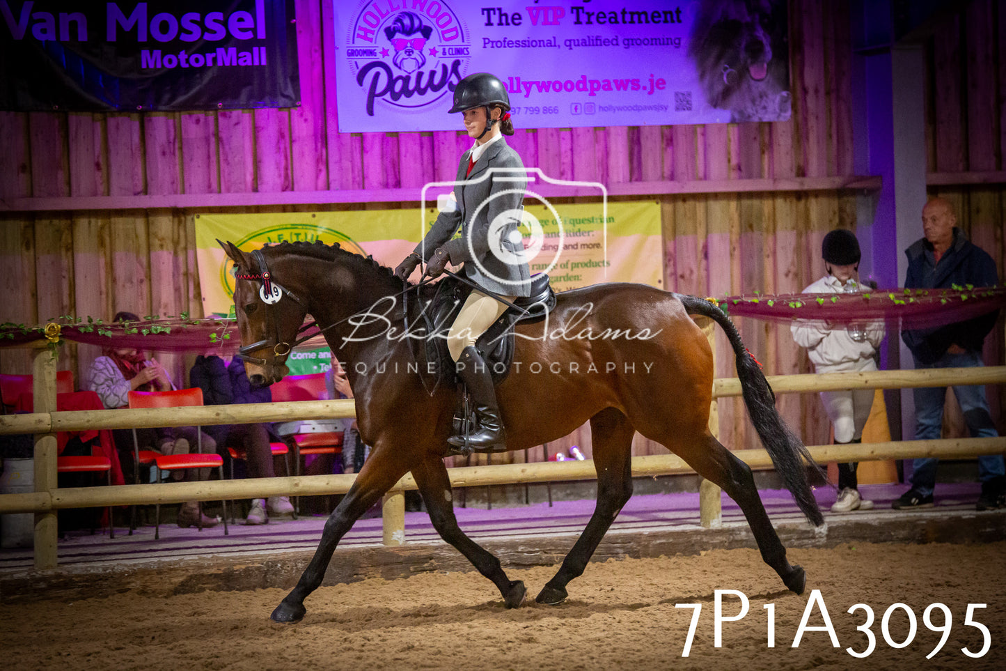 JHOYS 2025 - Ridden Showing - 28th September - pt4