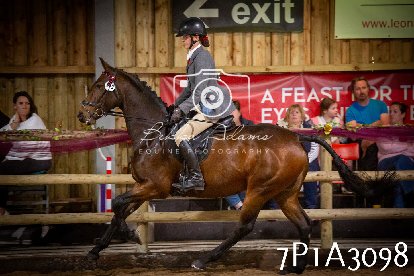 JHOYS 2025 - Ridden Showing - 28th September - pt4