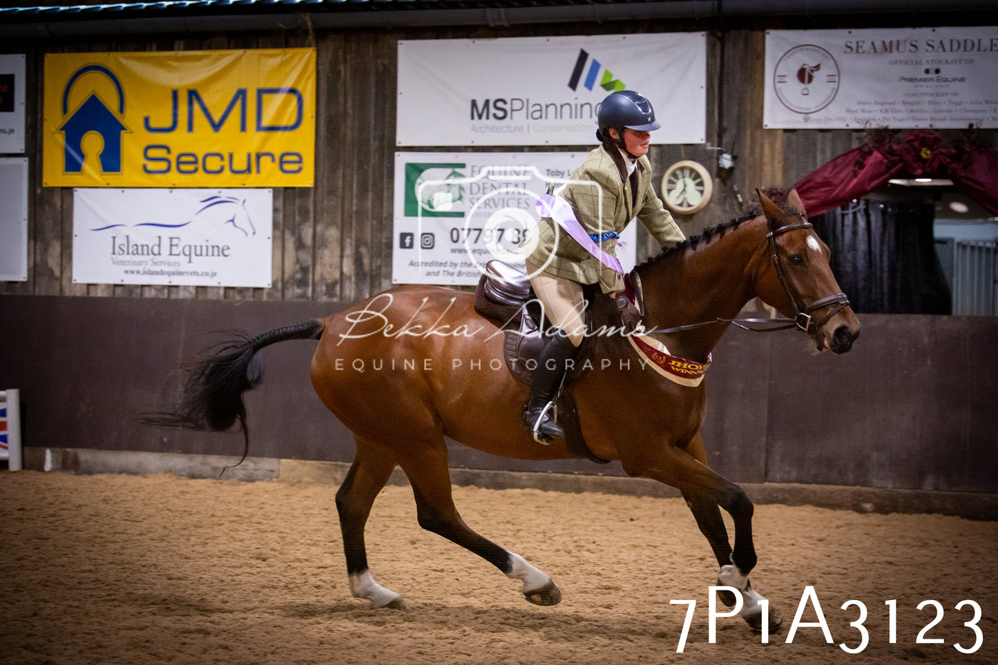 JHOYS 2025 - Ridden Showing - 28th September - pt4