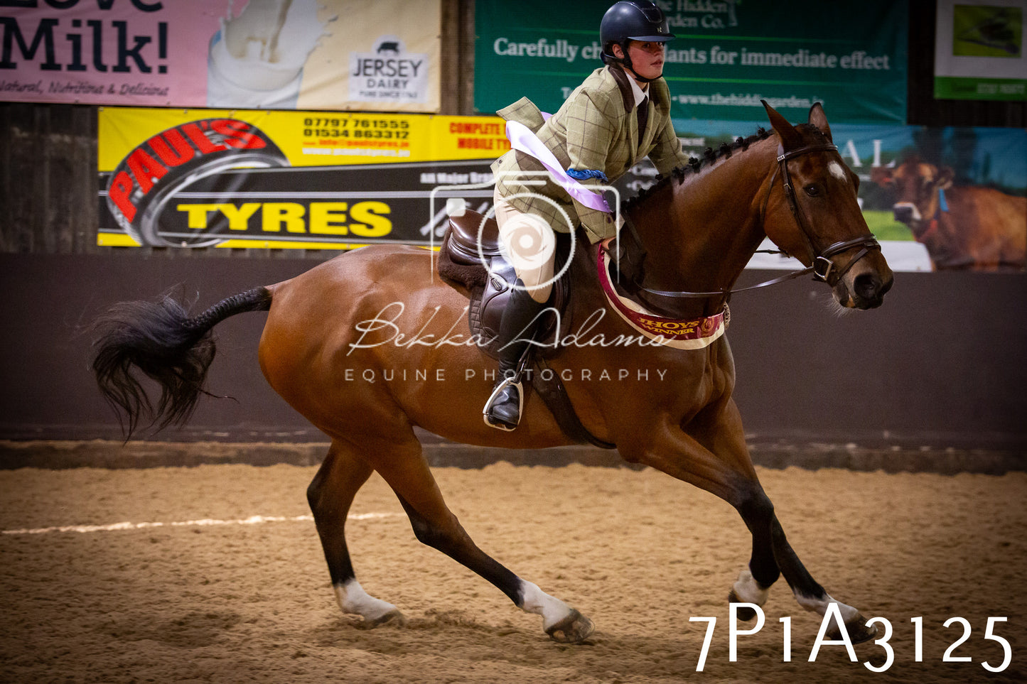 JHOYS 2025 - Ridden Showing - 28th September - pt4