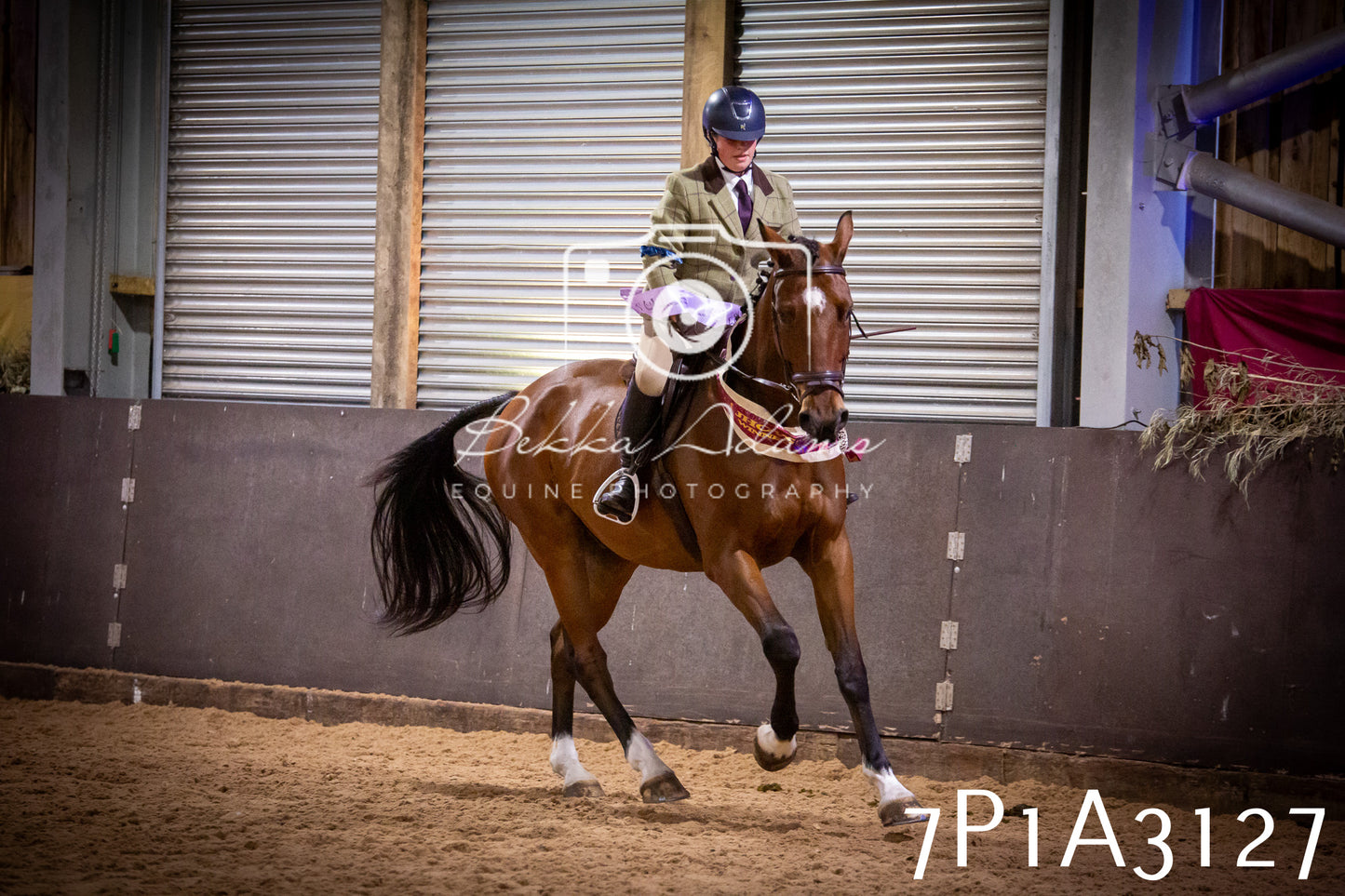 JHOYS 2025 - Ridden Showing - 28th September - pt4