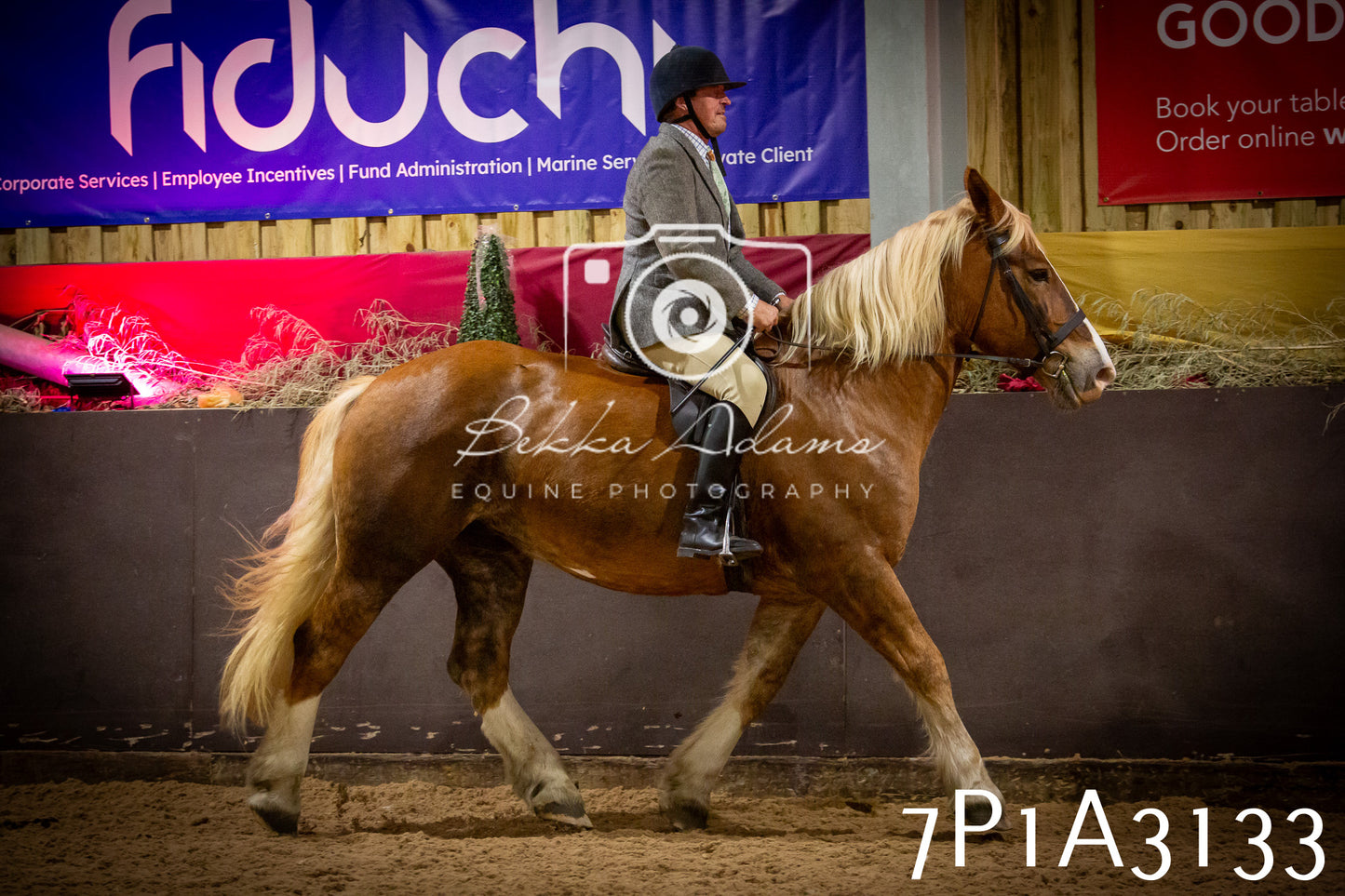 JHOYS 2025 - Ridden Showing - 28th September - pt4