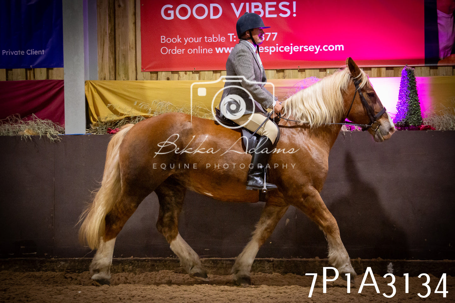 JHOYS 2025 - Ridden Showing - 28th September - pt4