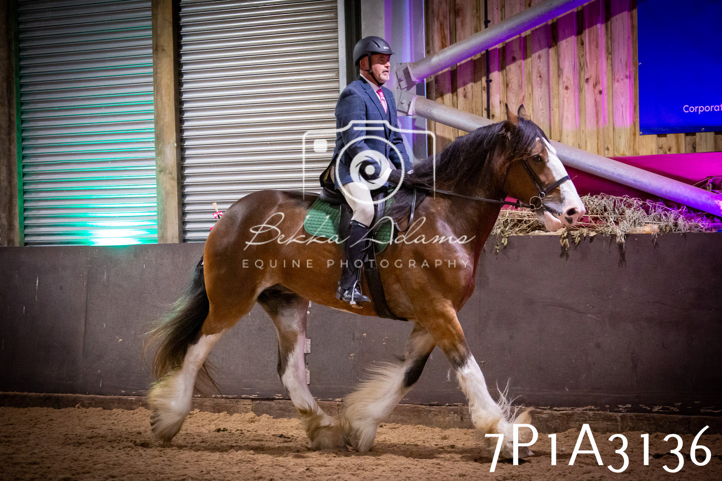 JHOYS 2025 - Ridden Showing - 28th September - pt4