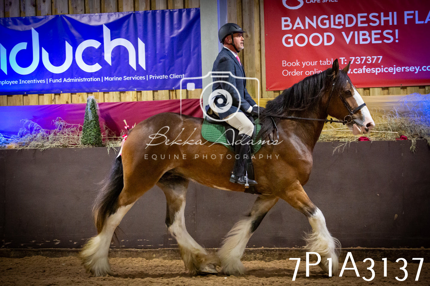 JHOYS 2025 - Ridden Showing - 28th September - pt4