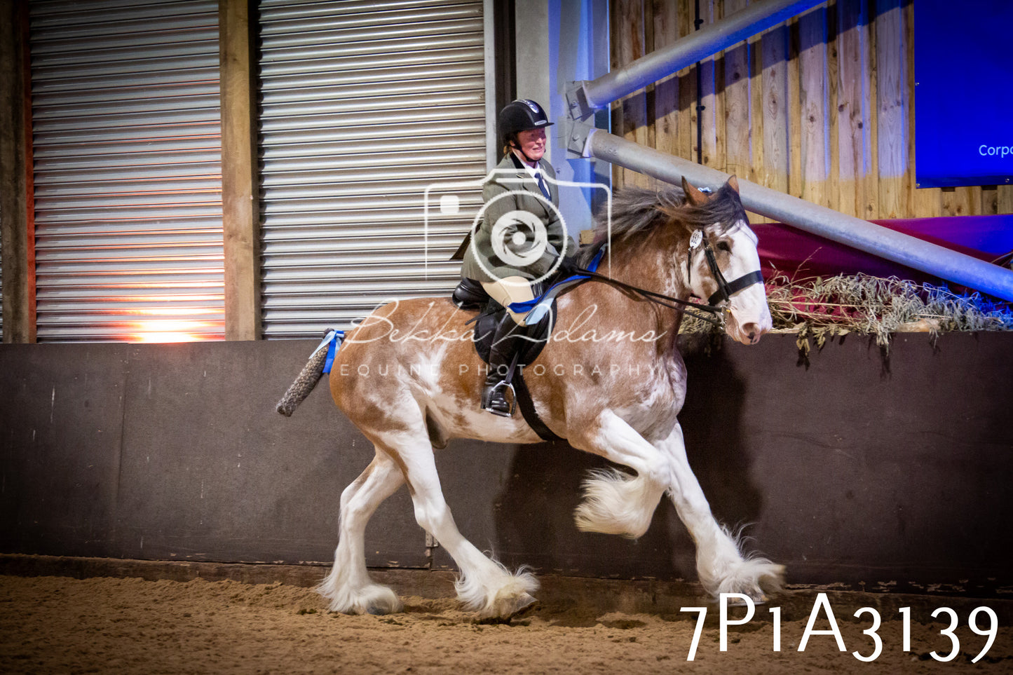 JHOYS 2025 - Ridden Showing - 28th September - pt4