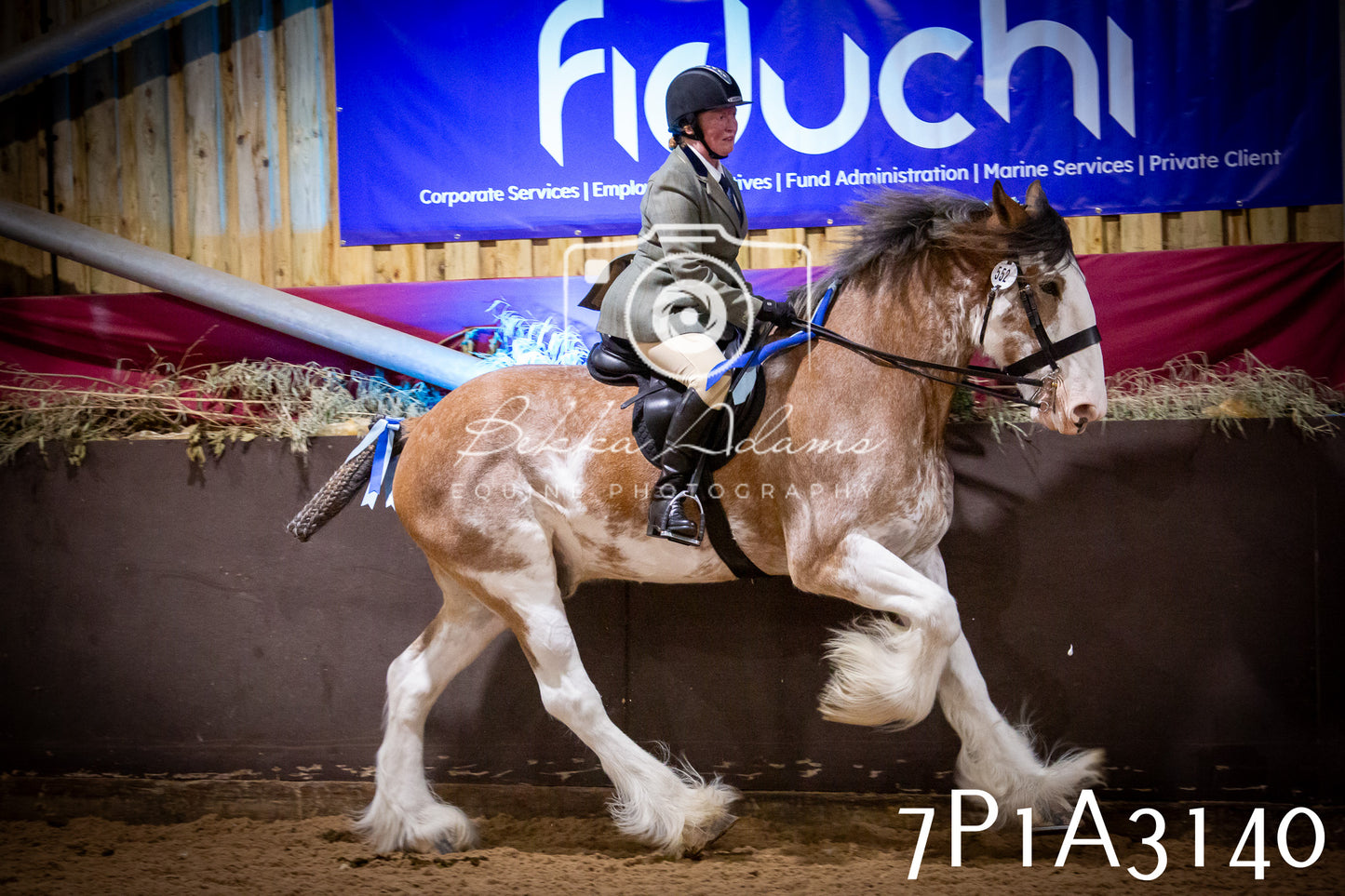 JHOYS 2025 - Ridden Showing - 28th September - pt4