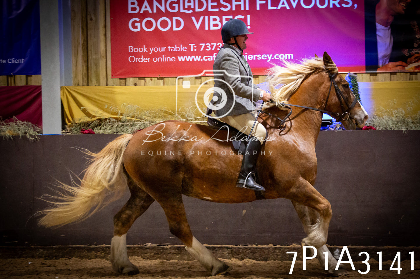 JHOYS 2025 - Ridden Showing - 28th September - pt4