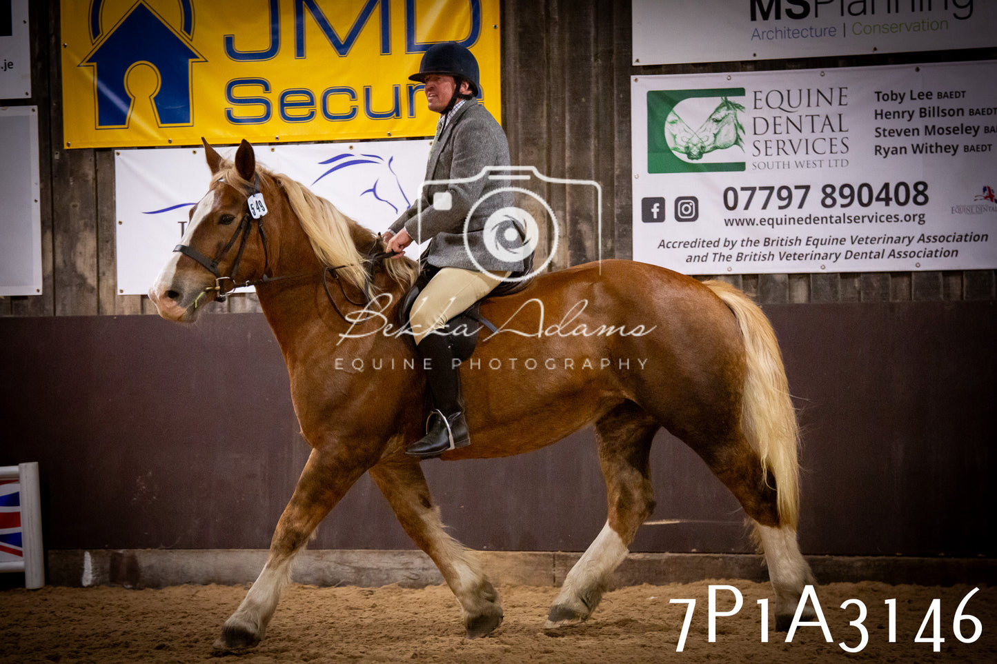 JHOYS 2025 - Ridden Showing - 28th September - pt4