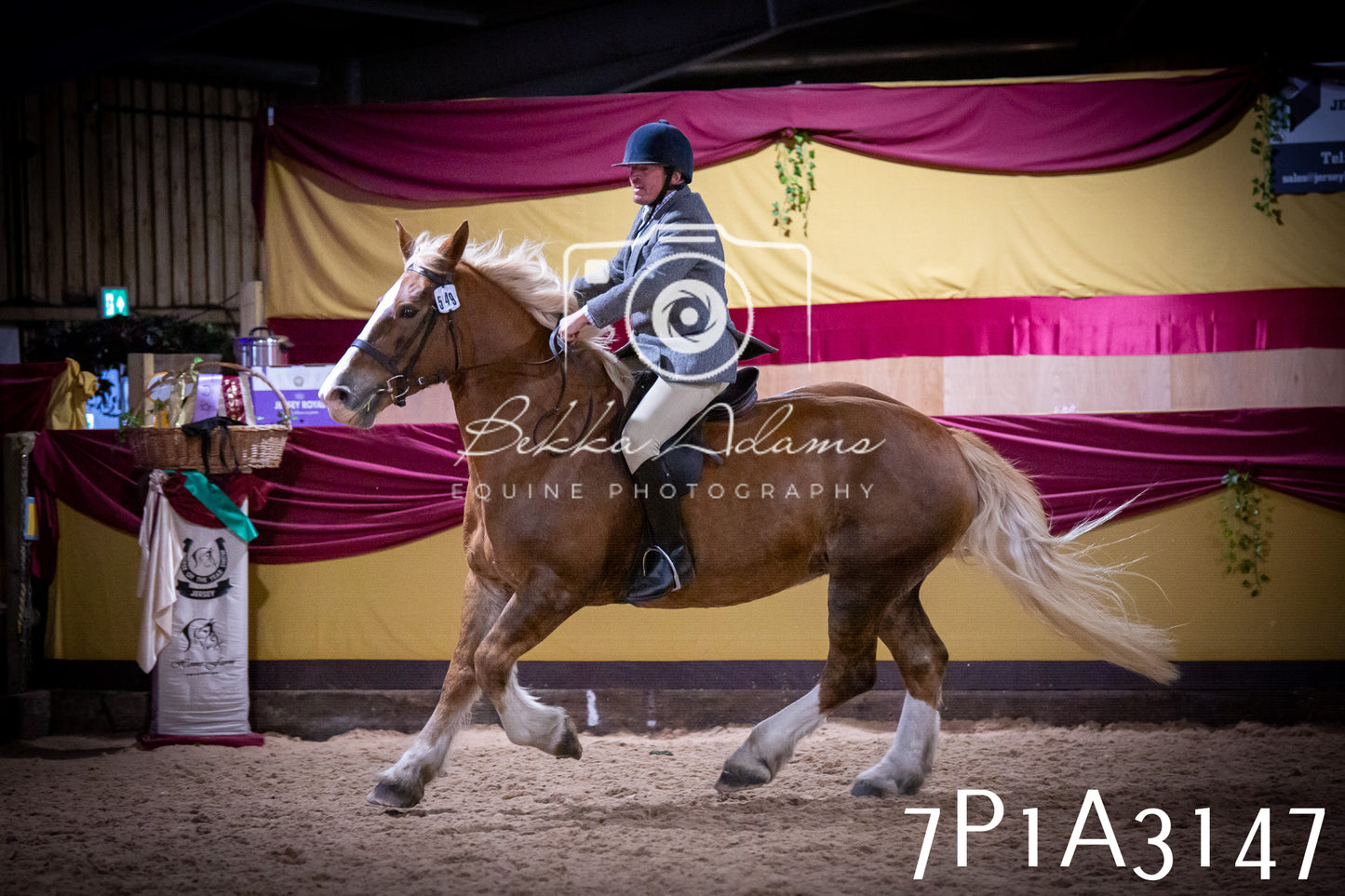 JHOYS 2025 - Ridden Showing - 28th September - pt4