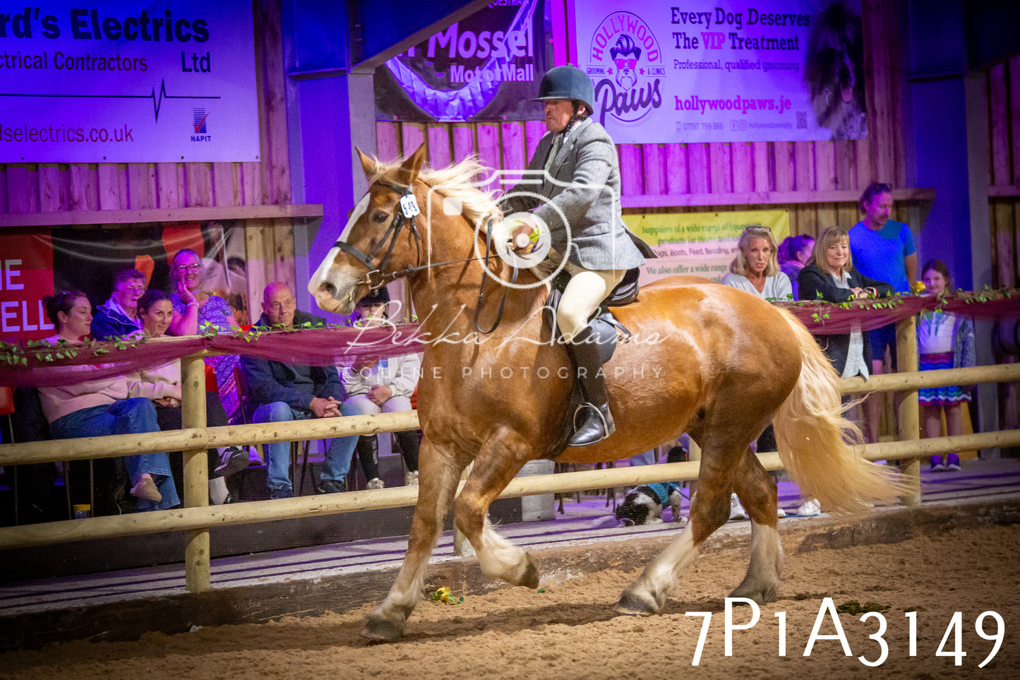 JHOYS 2025 - Ridden Showing - 28th September - pt4