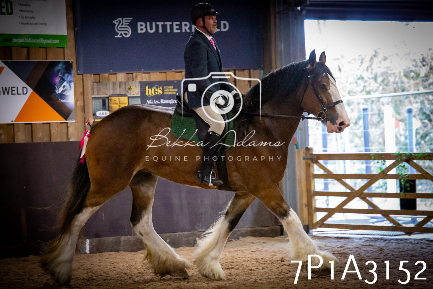 JHOYS 2025 - Ridden Showing - 28th September - pt4