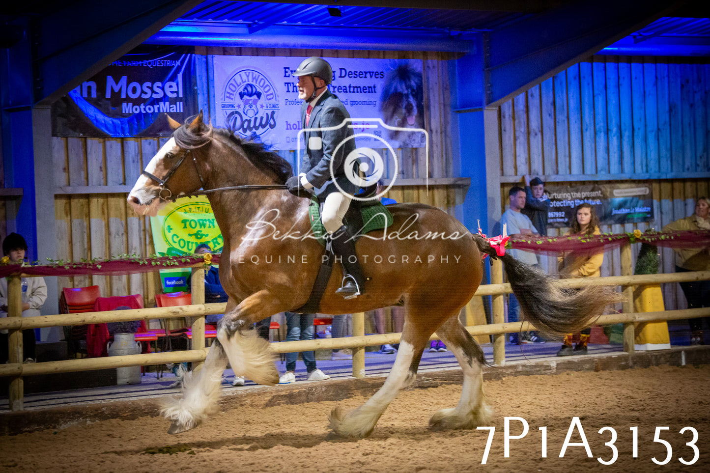 JHOYS 2025 - Ridden Showing - 28th September - pt4