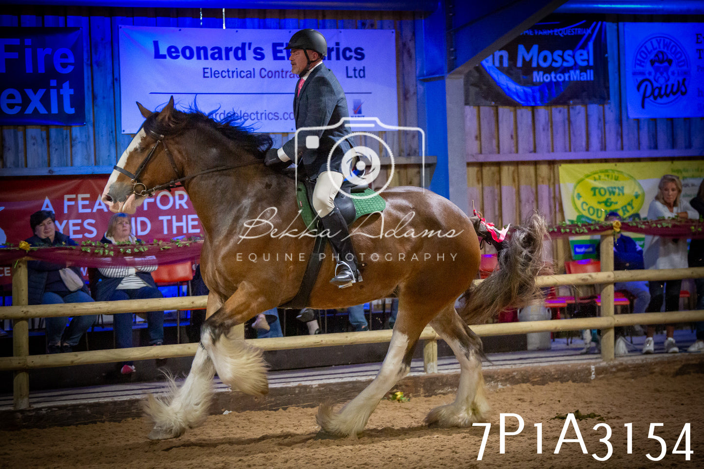 JHOYS 2025 - Ridden Showing - 28th September - pt4