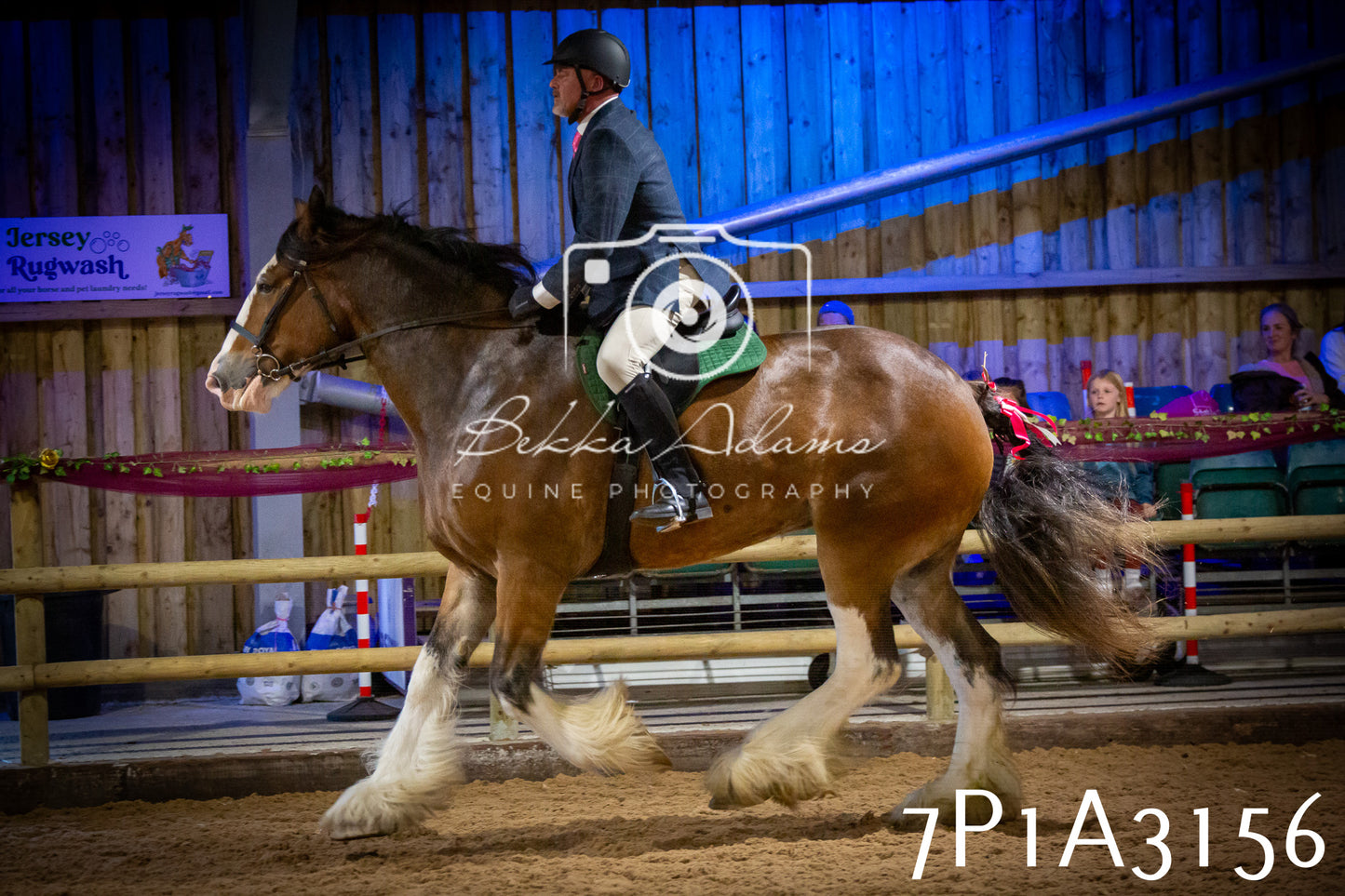 JHOYS 2025 - Ridden Showing - 28th September - pt4