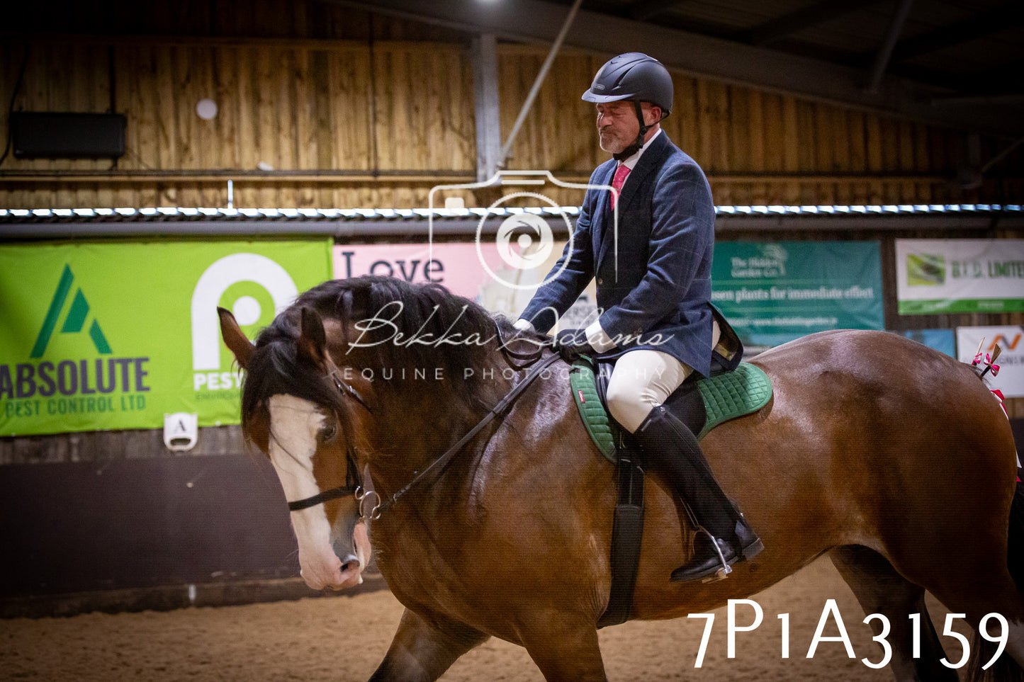 JHOYS 2025 - Ridden Showing - 28th September - pt4