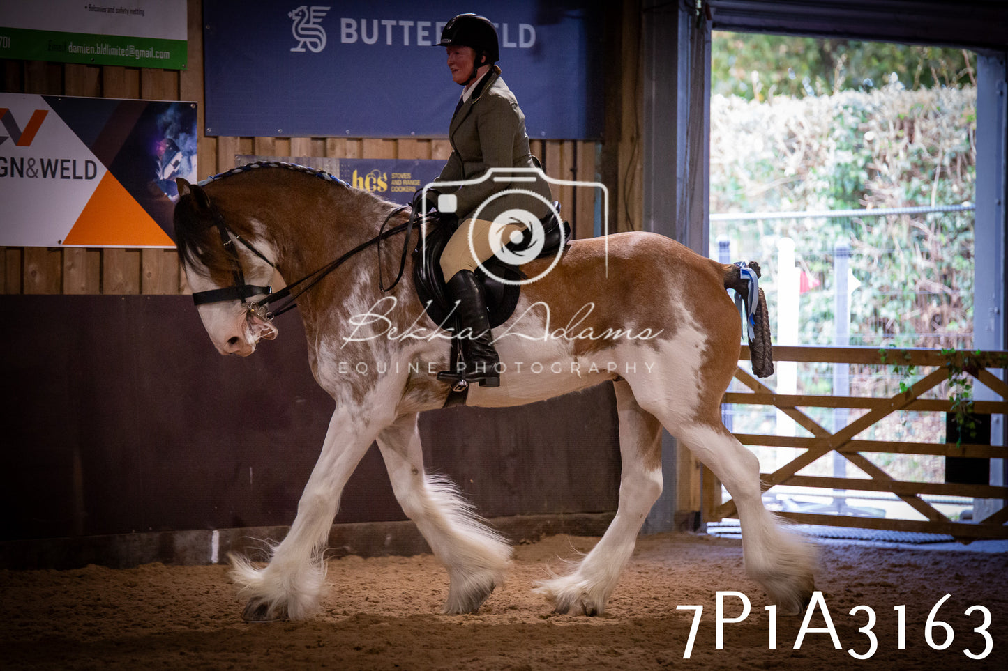 JHOYS 2025 - Ridden Showing - 28th September - pt4