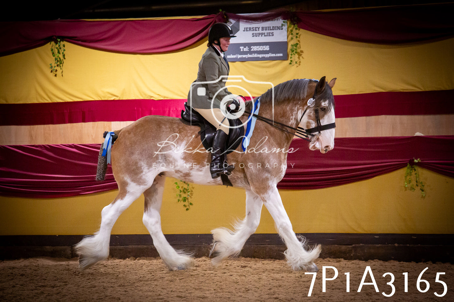 JHOYS 2025 - Ridden Showing - 28th September - pt4