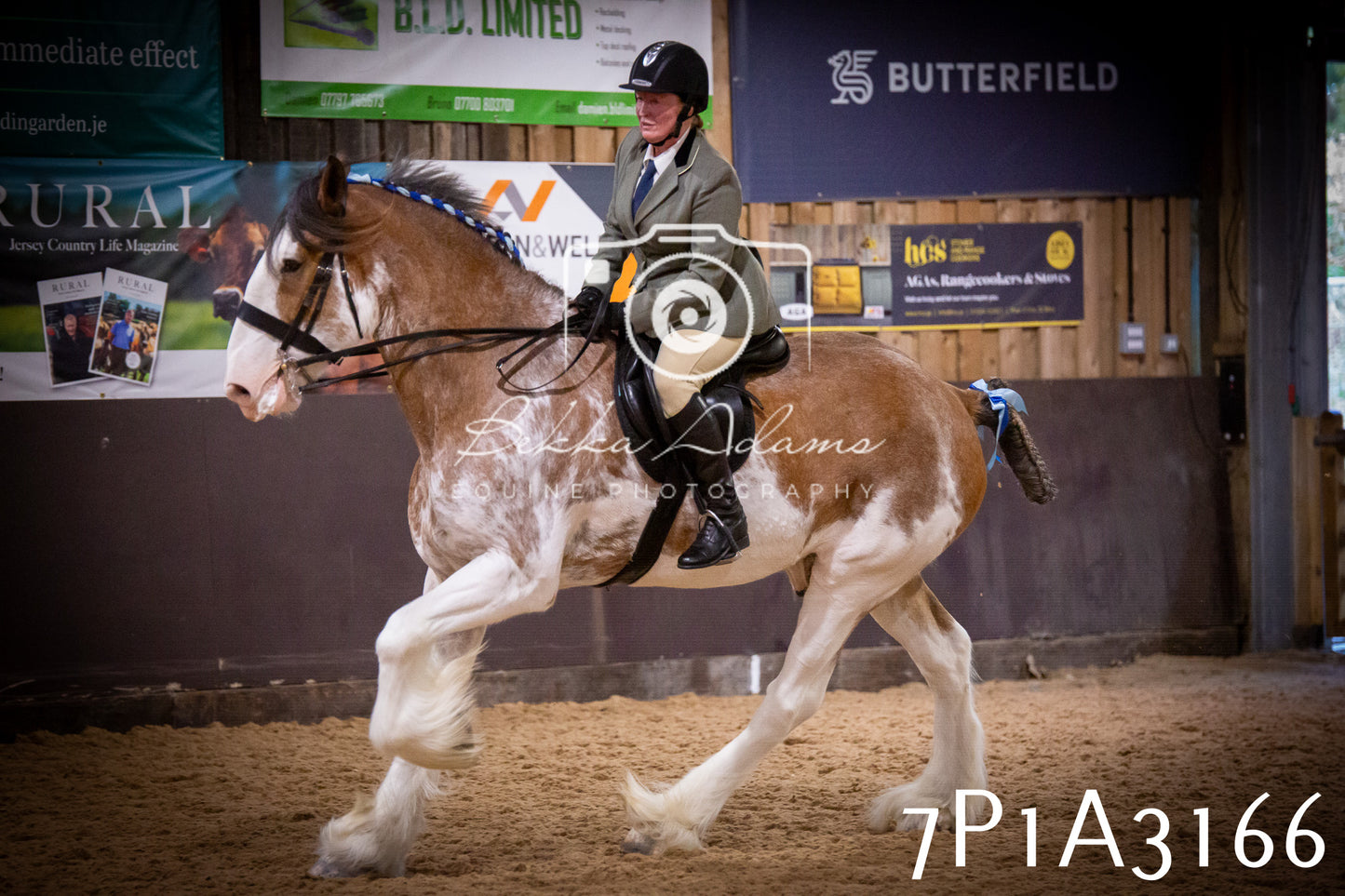 JHOYS 2025 - Ridden Showing - 28th September - pt4