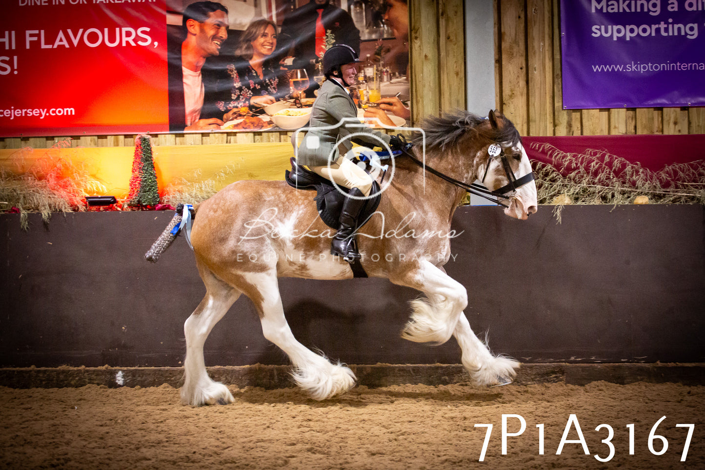 JHOYS 2025 - Ridden Showing - 28th September - pt4