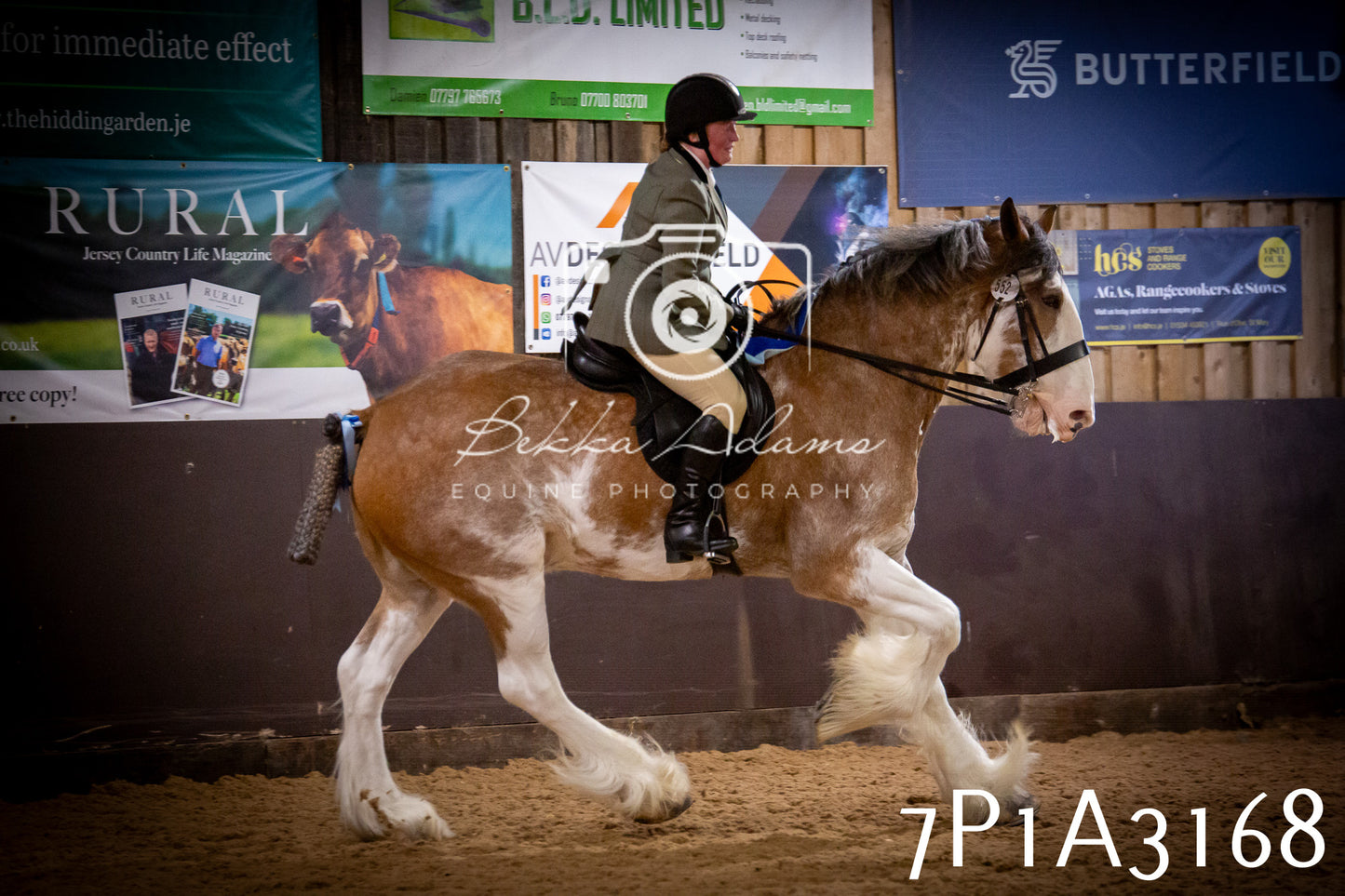 JHOYS 2025 - Ridden Showing - 28th September - pt4